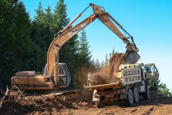 888Ladies Cazino Cazinou Suport